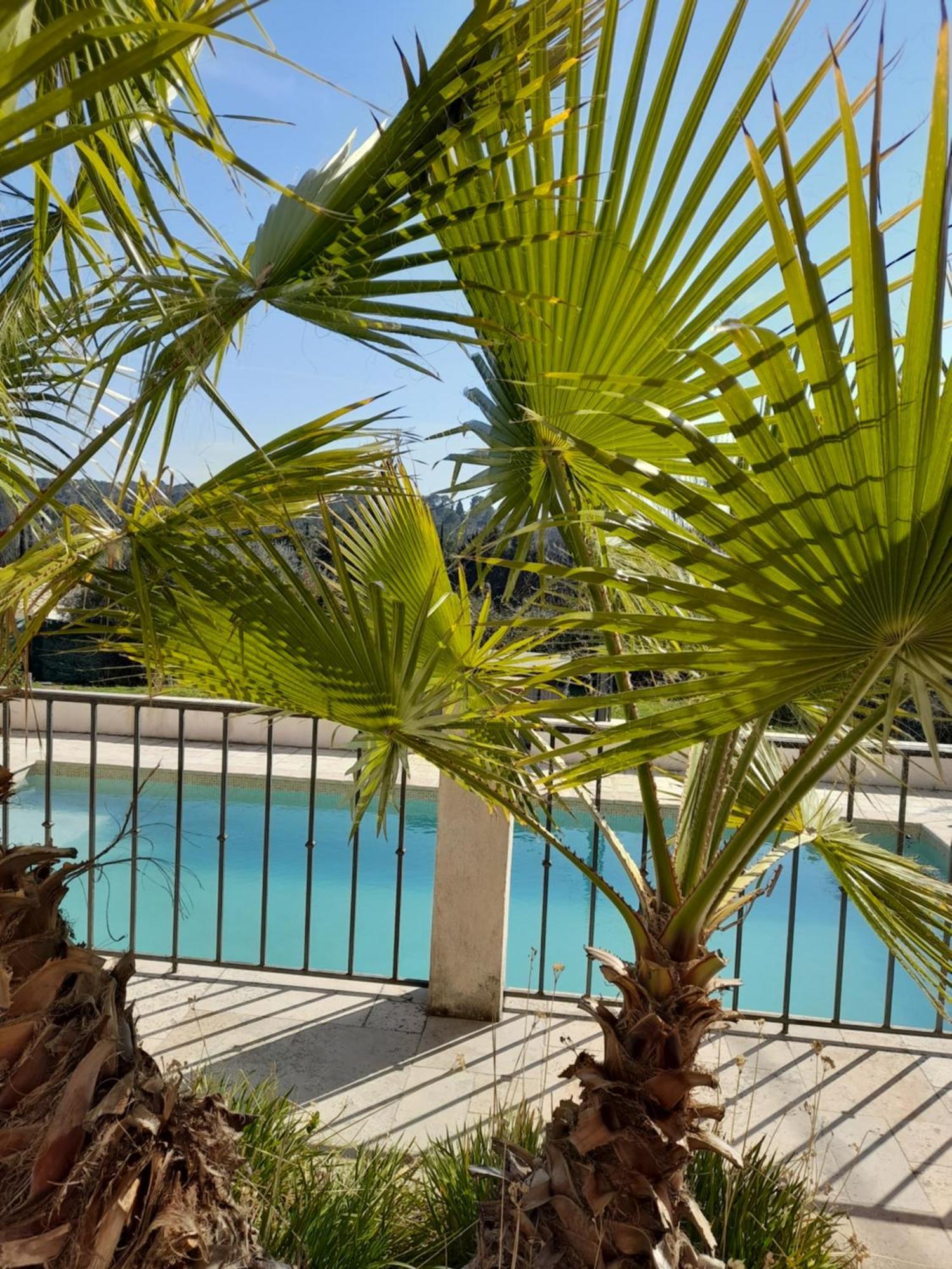 לורג Villa Azur מראה חיצוני תמונה