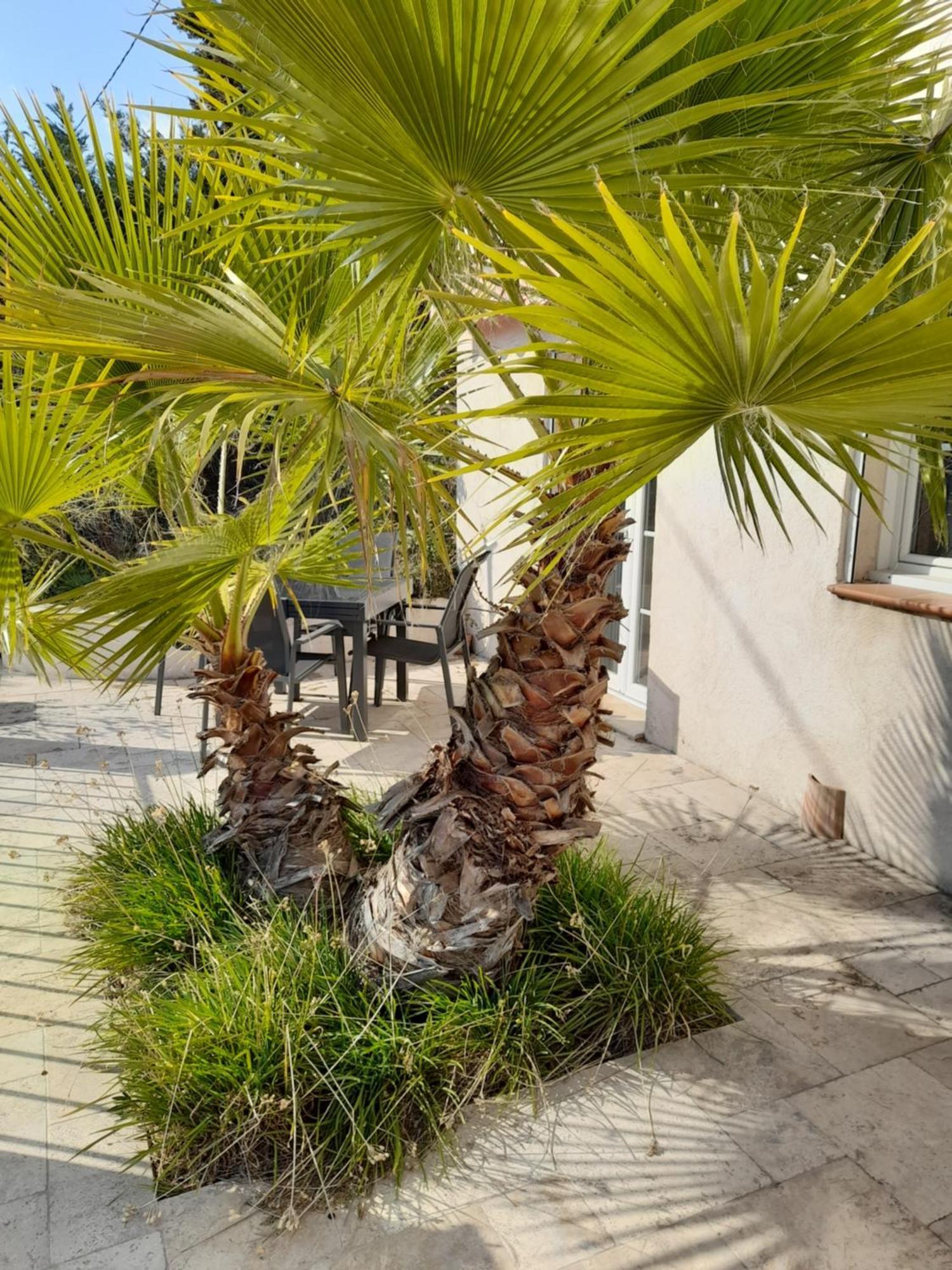 לורג Villa Azur מראה חיצוני תמונה