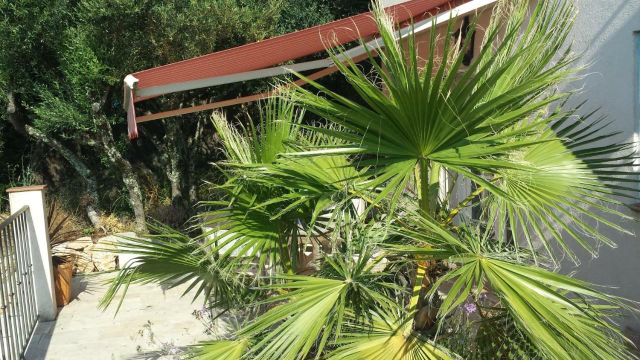 לורג Villa Azur מראה חיצוני תמונה